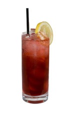 Sloe Gin Fizz - The Sloe Gin Fizz drink is made from Sloe Gin, fresh lemon juice, sugar syrup and sparkling water, and served in a chilled highball glass.