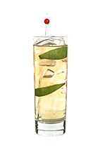 Nikki Sixx - The Nikki Sixx drink is made from whiskey (Jack Daniels), lemon-lime soda and lime wedges, and served in a highball glass.